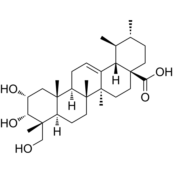 Esculentic acid 103974-74-9